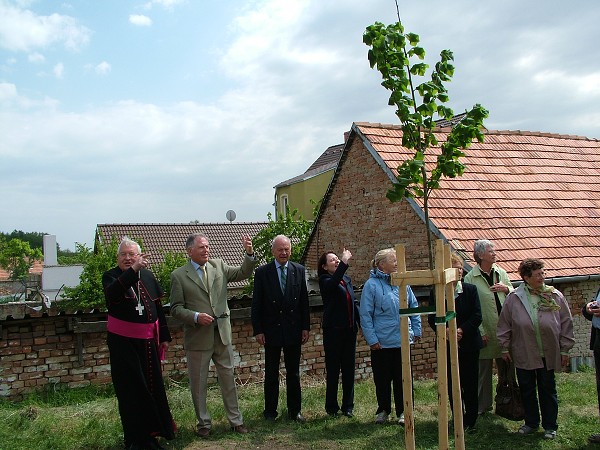 Sázení stromů - 2.5.2009