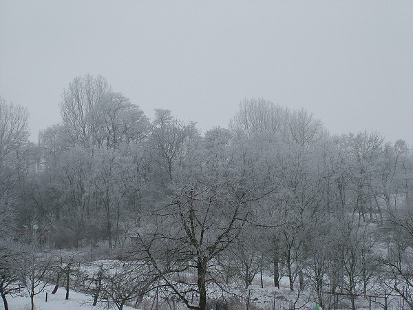 Zima v Litobratřicích - 17.1.2009