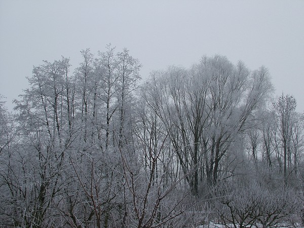 Zima v Litobratřicích - 17.1.2009