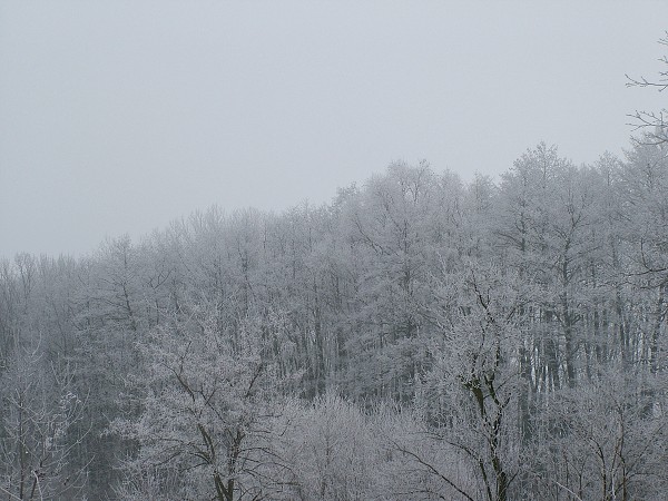 Zima v Litobratřicích - 17.1.2009