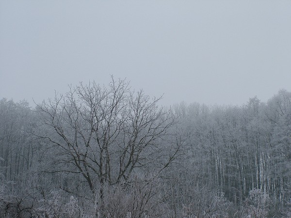 Zima v Litobratřicích - 17.1.2009