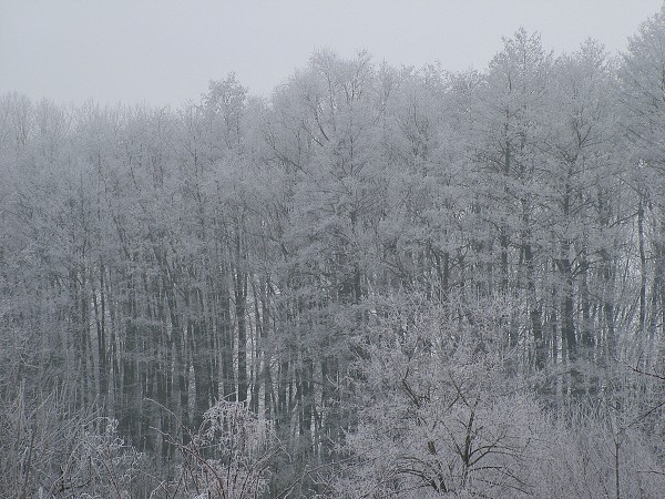 Zima v Litobratřicích - 17.1.2009