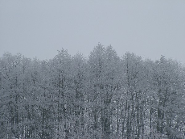 Zima v Litobratřicích - 17.1.2009