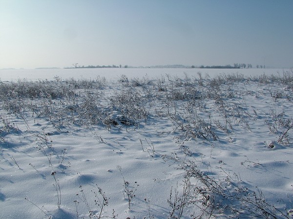 Zima v Litobratřicích - 4.12.2010