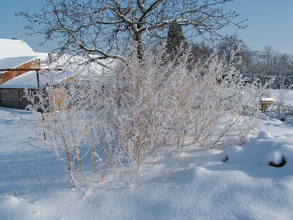 Zima v Litobratřicích - 4.12.2010