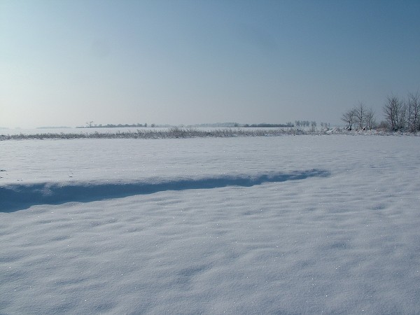 Zima v Litobratřicích - 4.12.2010