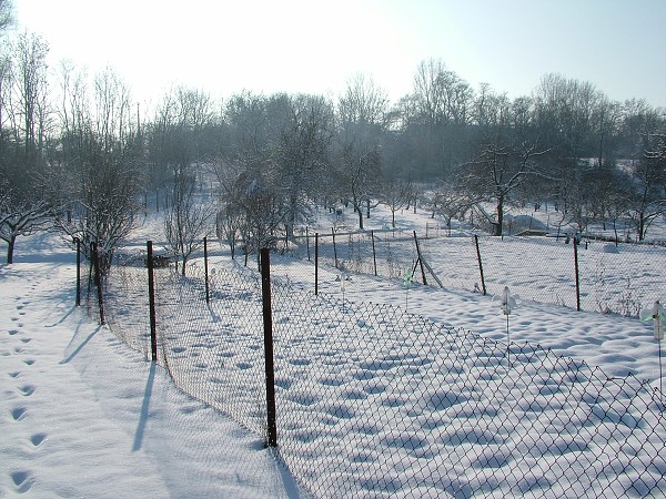 Zima v Litobratřicích - 4.12.2010