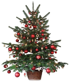 Rozsvícení vánočního stromu v Litobratřicích 29. 11. 2014
